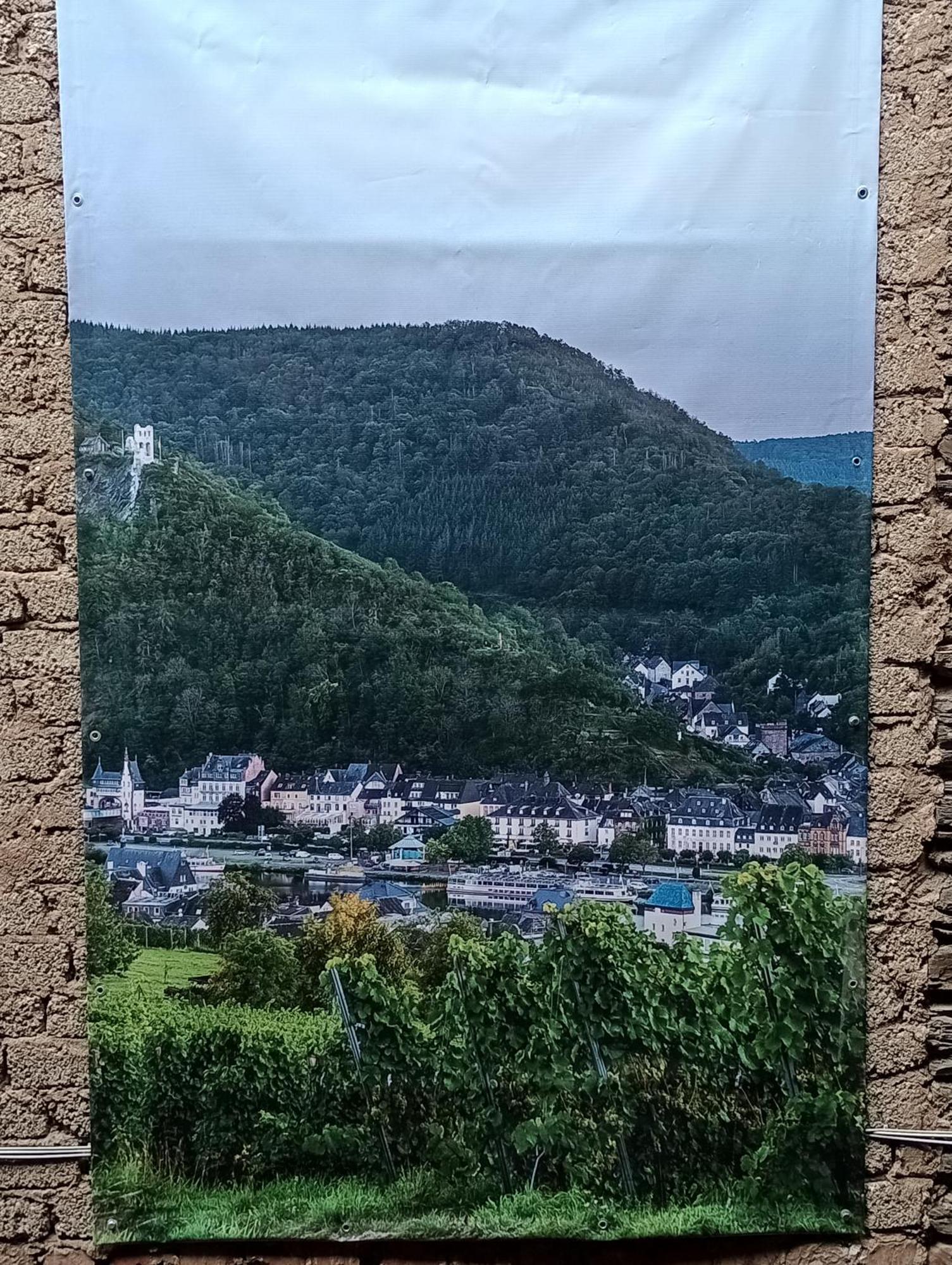 Alte Brennerei Apartments トラーベン・トラールバッハ エクステリア 写真